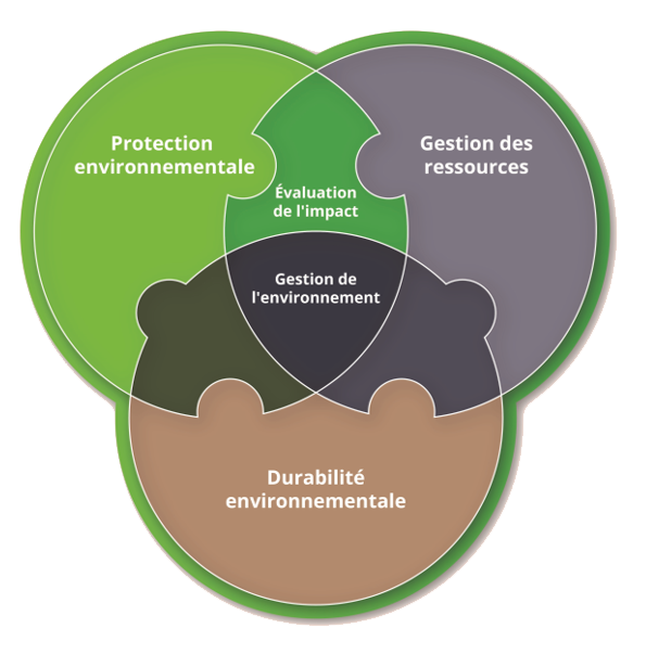 IA Venn diagram FR IA Venn diagram FR