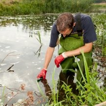 Work in water quality