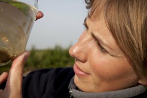 Job trends and future growth of Canada's water quality workforce